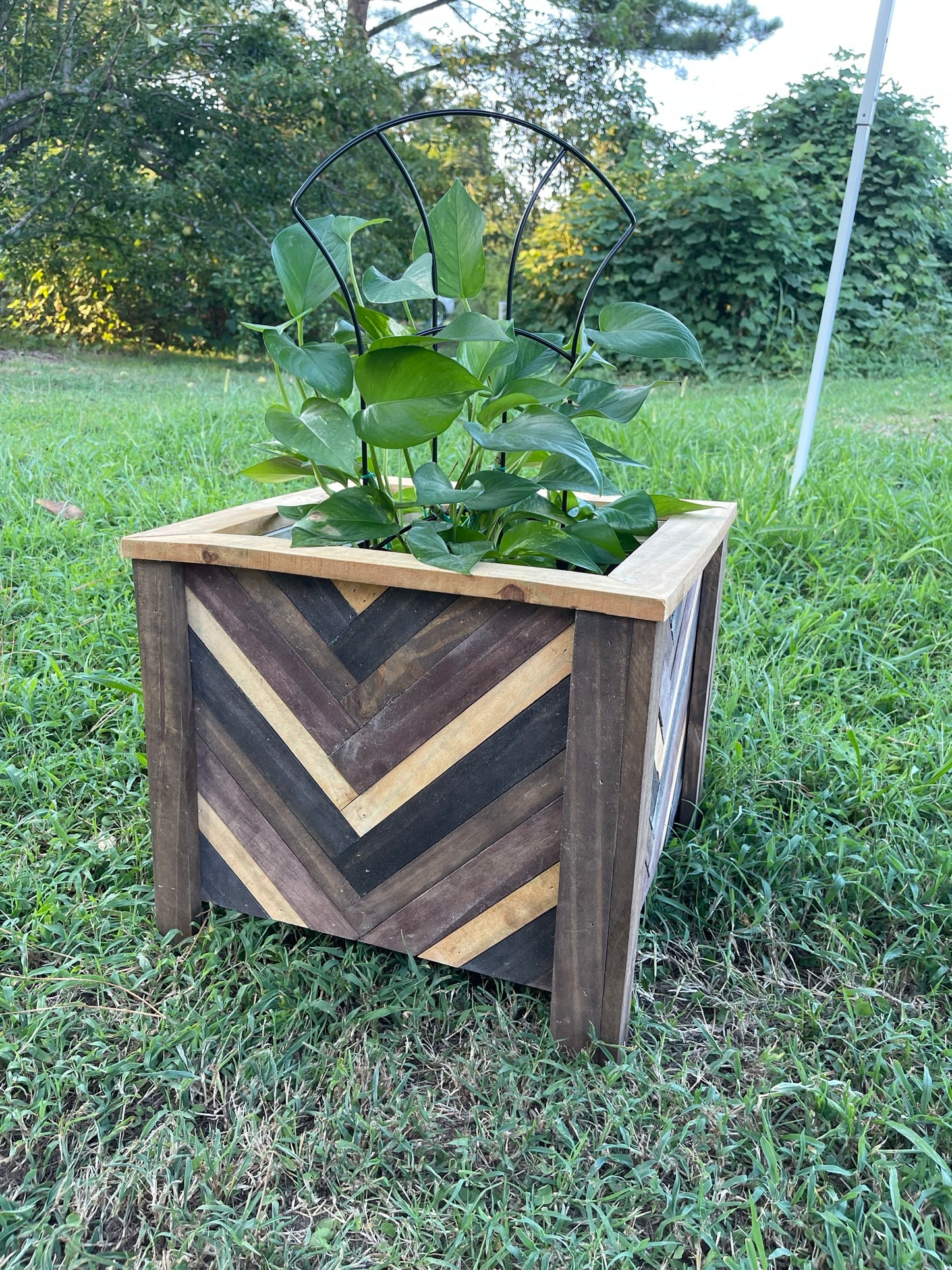 Rustic Planters